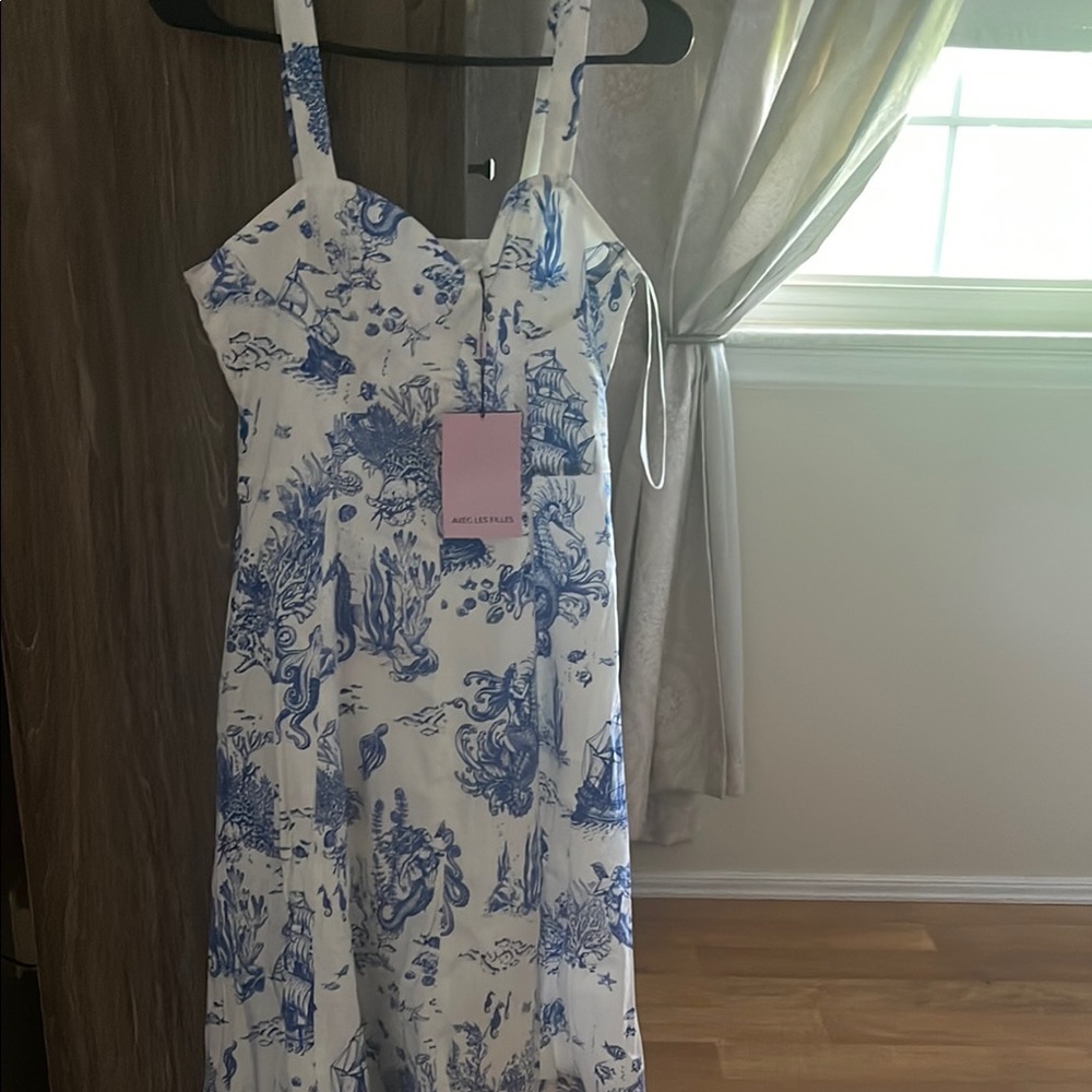 Blue and White Printed Dress